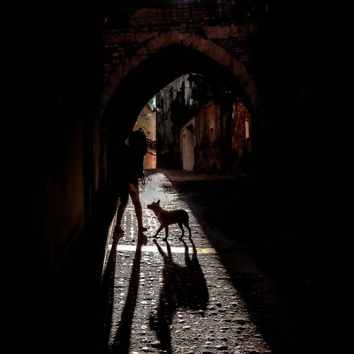 Lluis Calle  9,50  punts